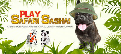 Play Safari Sasha!